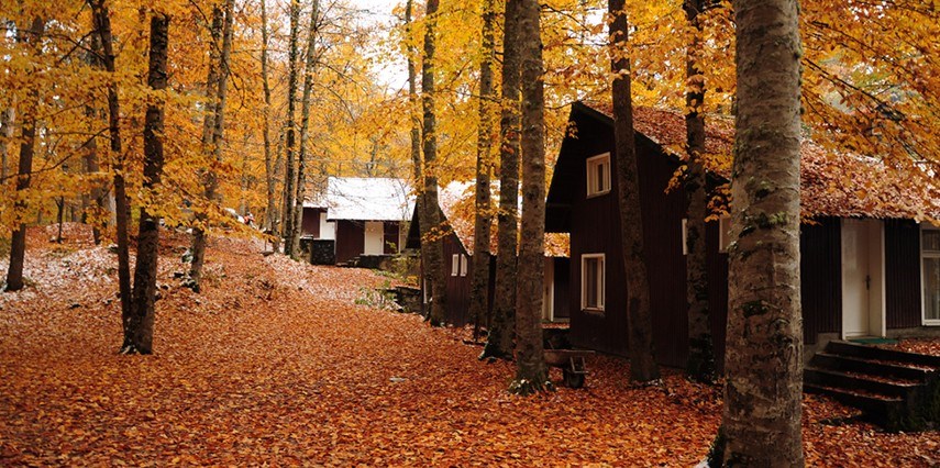 Abant Sapanca Maşukiye Hobbit Evleri Ormanya Turu / 1 Gece Otel Konaklaması