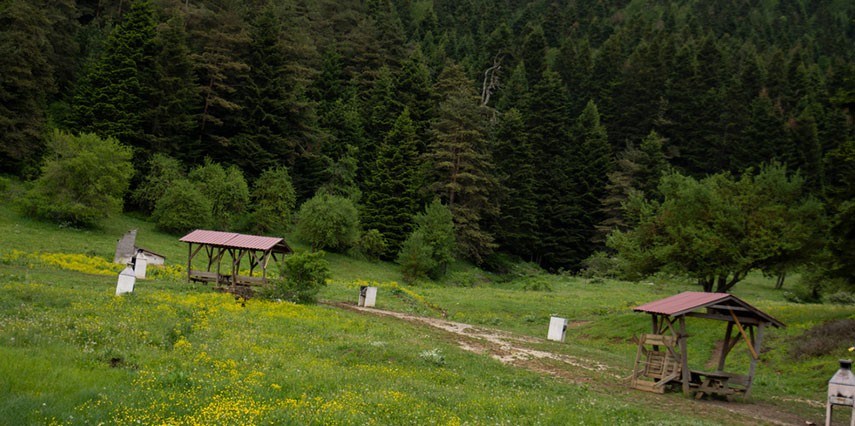 Günübirlik Abant Gölü ve Gölcük Gölü ( Cennet Gölü ) Turu