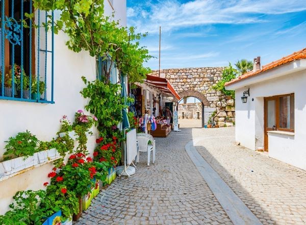 🌿 Çeşme Alaçatı Ot ve Urla Enginar Festivali Turu