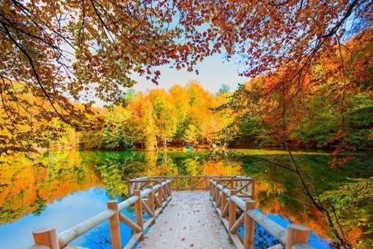 Yedigöller Ve Düzce Şelaleler Turu 1 Gece, .