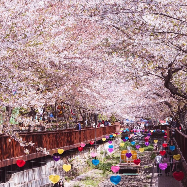 Uzakdoğunun Çiçeği Güney Kore Turu, Güney Kore Turu,Seul Turu